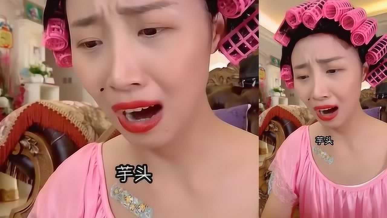 神探包租婆包租婆和芋头简直就是天生的冤家啊