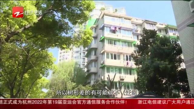 杭州西溪河公园迁出的树部分不予迁回 居民:看不大懂