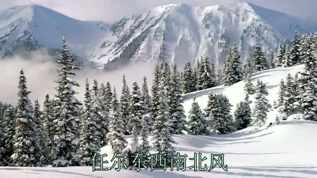 乌兰托娅演绎的这首《咬定青山不放松》旋律唯美动听,百听不厌