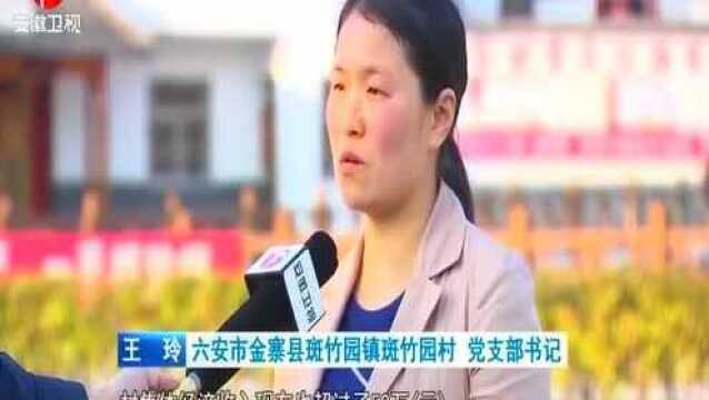 金寨县斑竹园镇特色产业“照亮”脱贫路