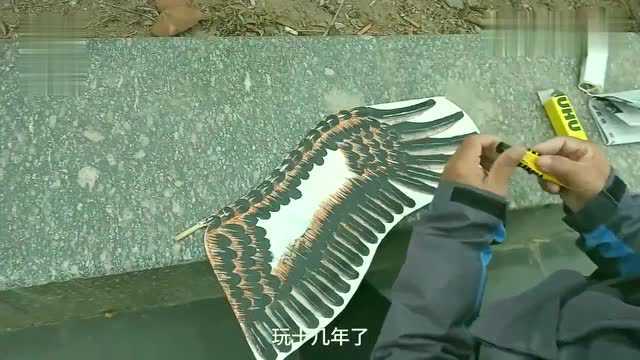 栩栩如生!大爷自制3D风筝:锻炼身体,还省钱