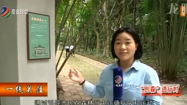 茂名市民有福了,广东省首条森林公园自然体验示范步道在茂名森林公园建成