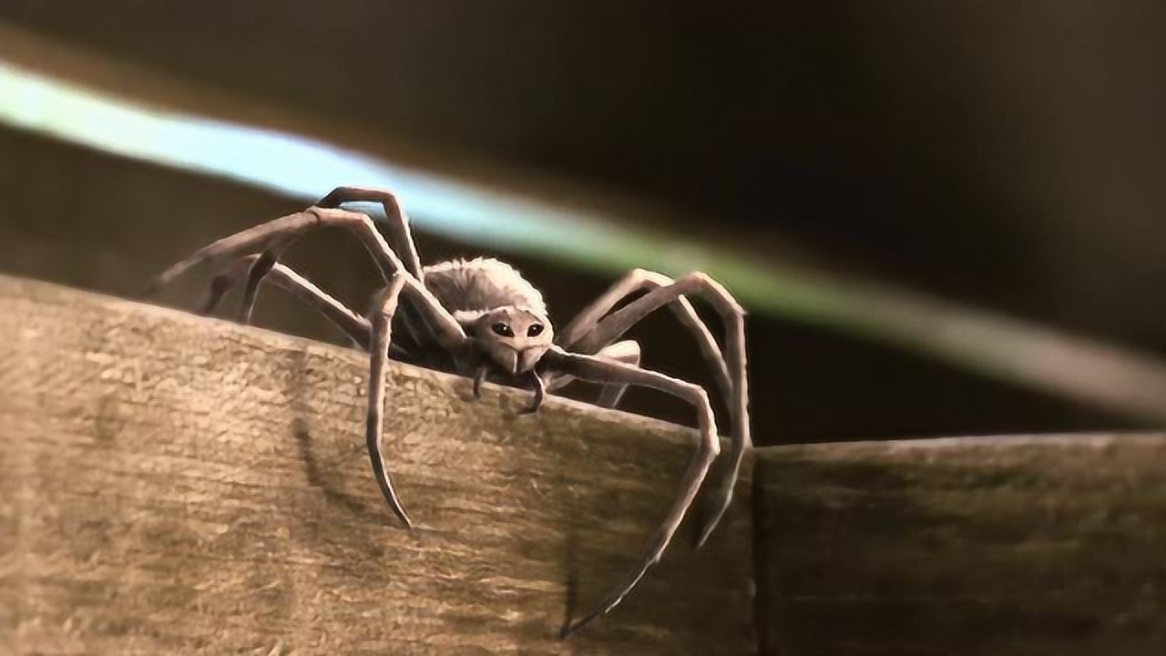 夏洛特的网 :蛛网力挽狂澜,小猪如愿以偿