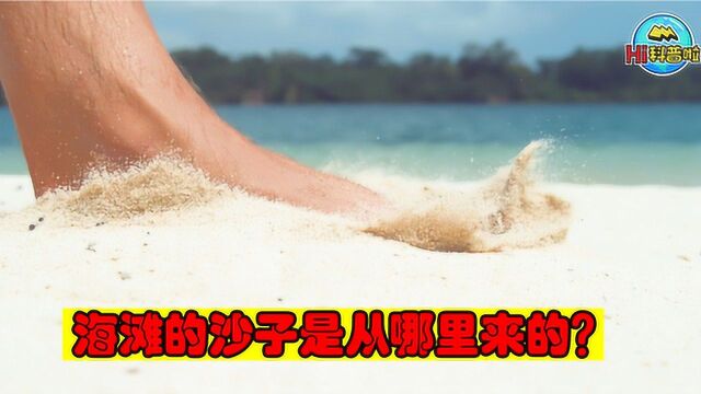 科普:海滩上的沙子到底是从哪里来的?