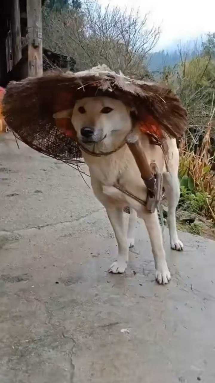 寒江孤影