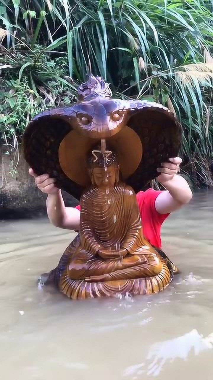 河里面的大蟒蛇据说还认识如来佛祖