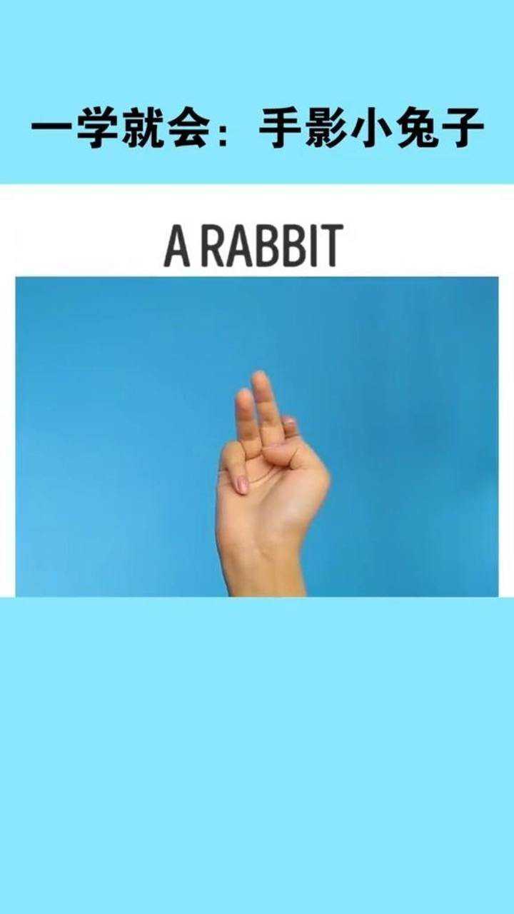 一学就会的手影小兔子