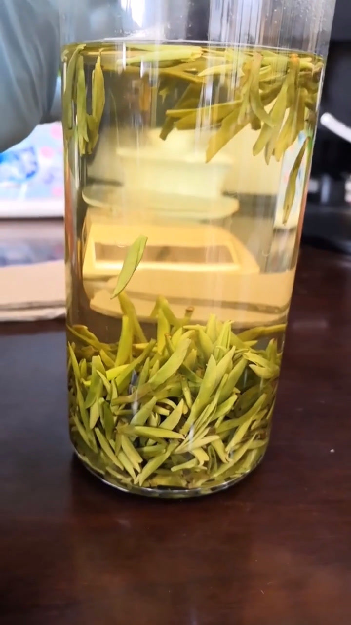 很多人都在寻找的黄金芽茶,泡开之后茶汤颜色特别的正!