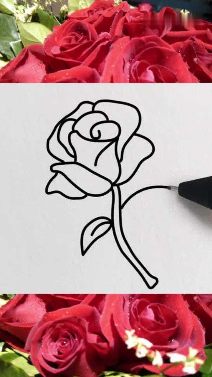 玫瑰怎么画 腾讯网