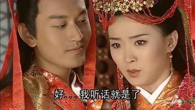 无敌县令:太子大婚之日,皇上的表情却是狰狞,心里却是痛!