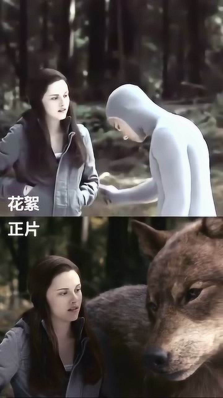 论演员的自我修养0202暮光之城花絮