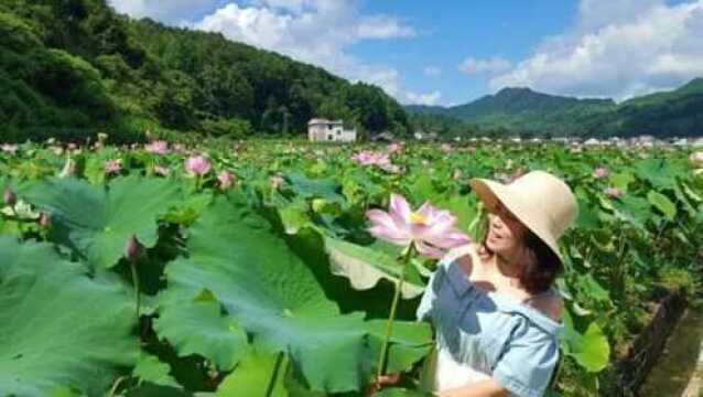 一颗莲子的致富遨游——秀山里仁镇太空莲产业发展速写