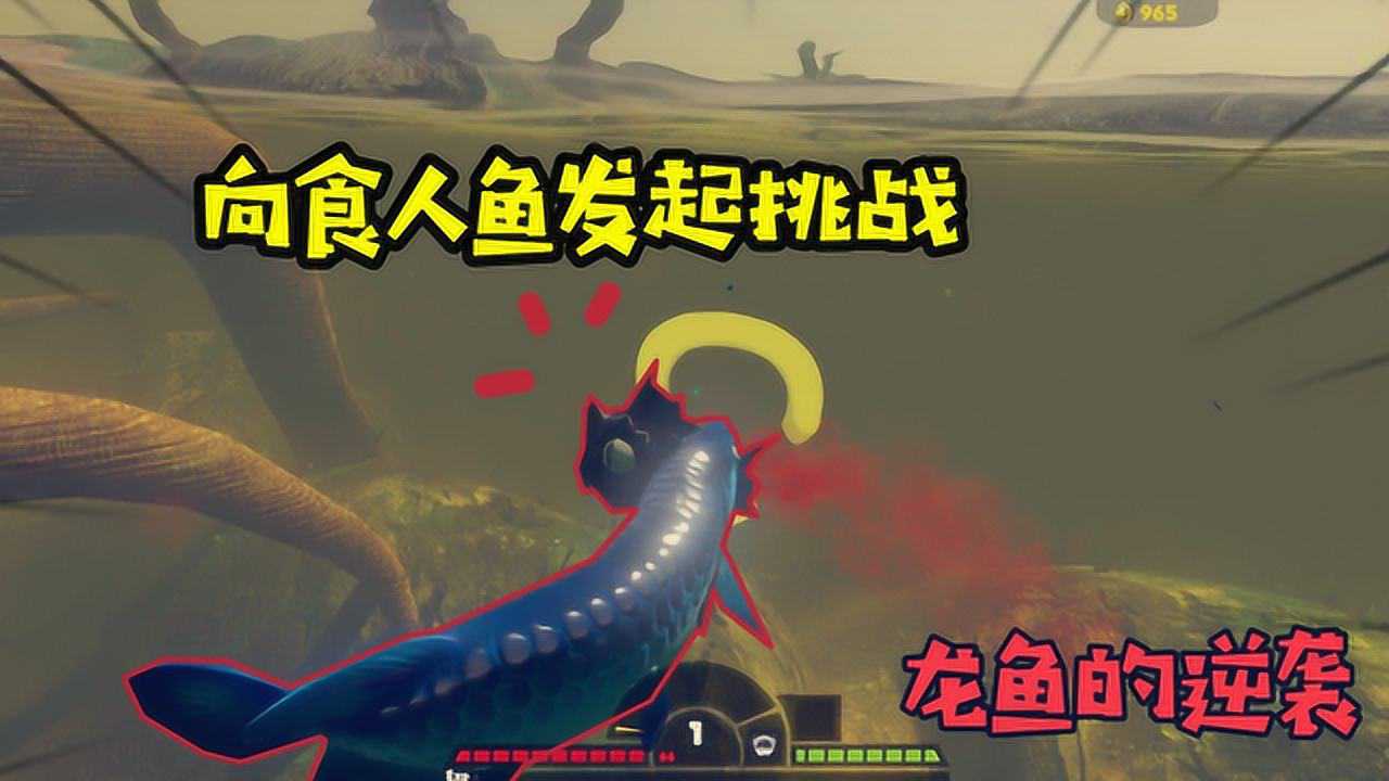 海底大猎杀:即使是温顺的龙鱼也会有逆袭的时候放马过来吧食人鱼