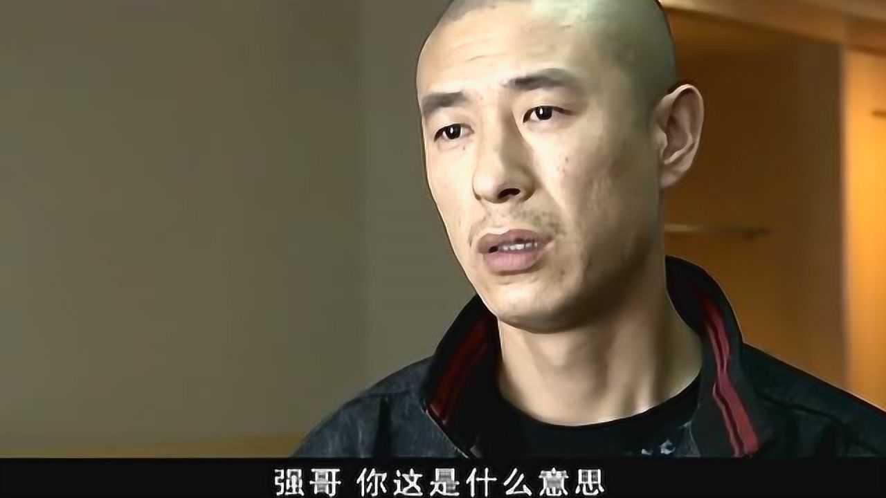 刘华强和金宝大鹏第一次见面#征服