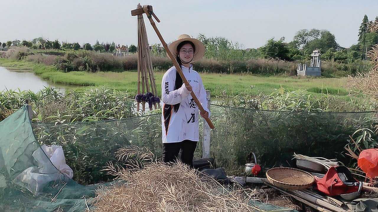 湖北小赵打菜籽,最原始的方法,不知这样的方法你那里有没有