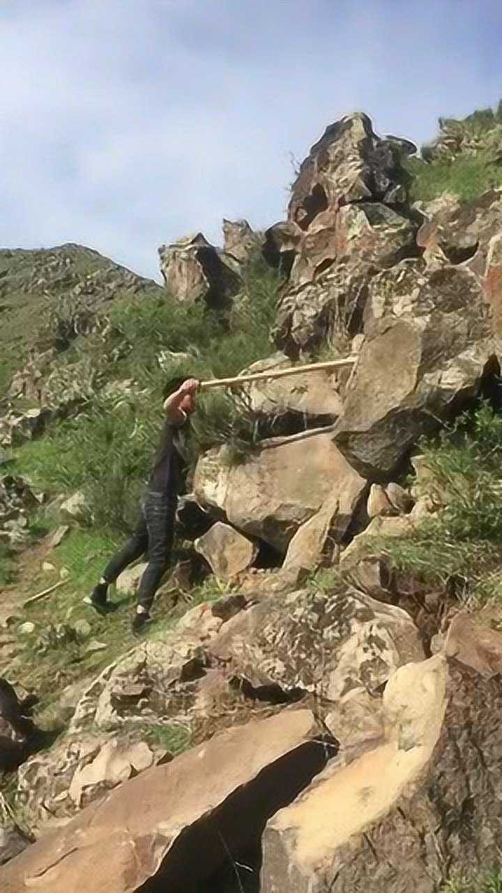 小伙子在山上作死式撬石头几百斤的大石头直接往脚下砸