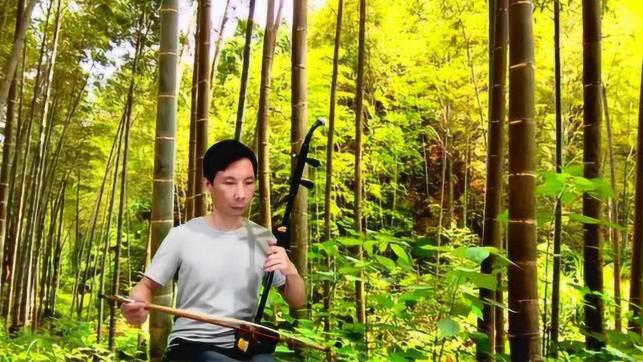 推荐老曾学二胡独奏《梦驼铃》纯音没有伴奏谢谢欣赏