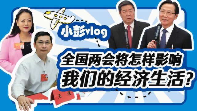 小彭vlog | 政协委员民航公司董事长:国内航线已恢复95%