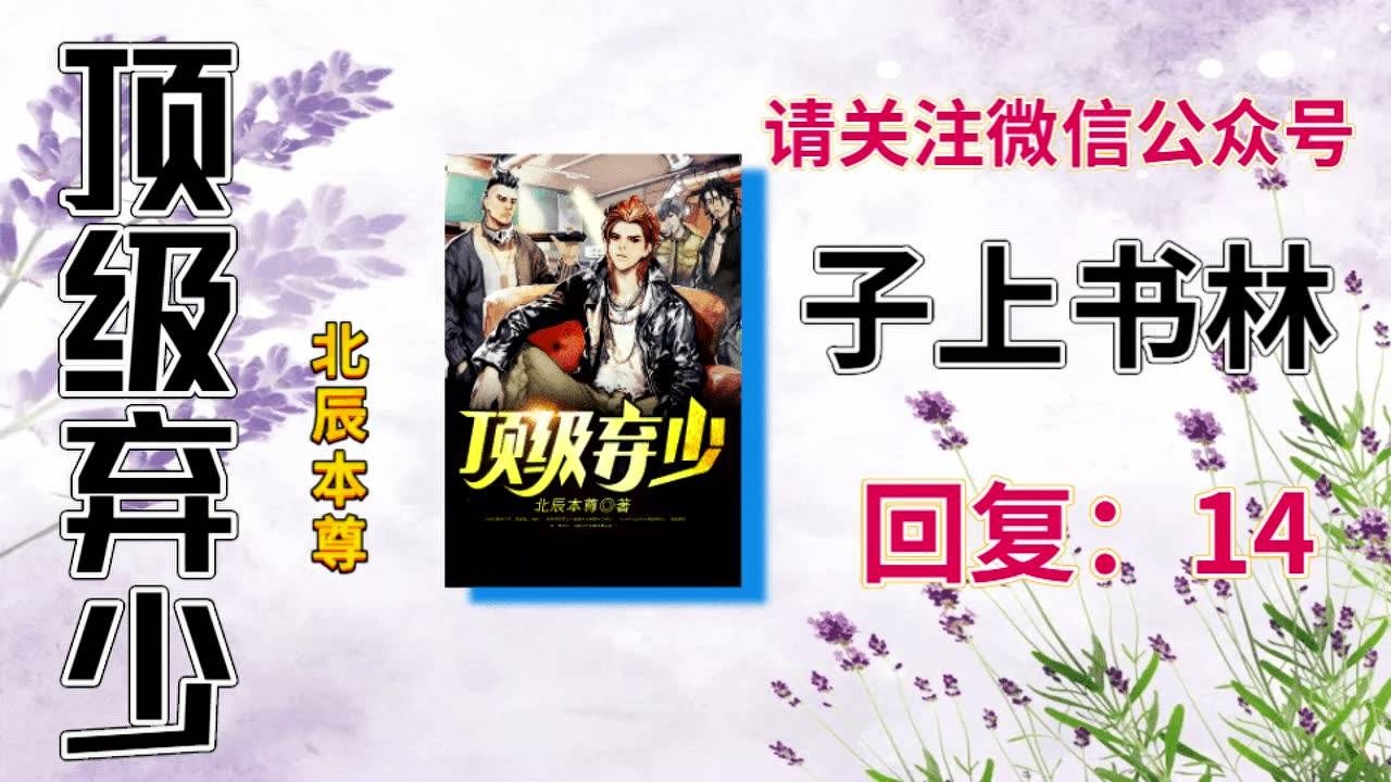 顶级弃少林云王雪北辰本尊全本