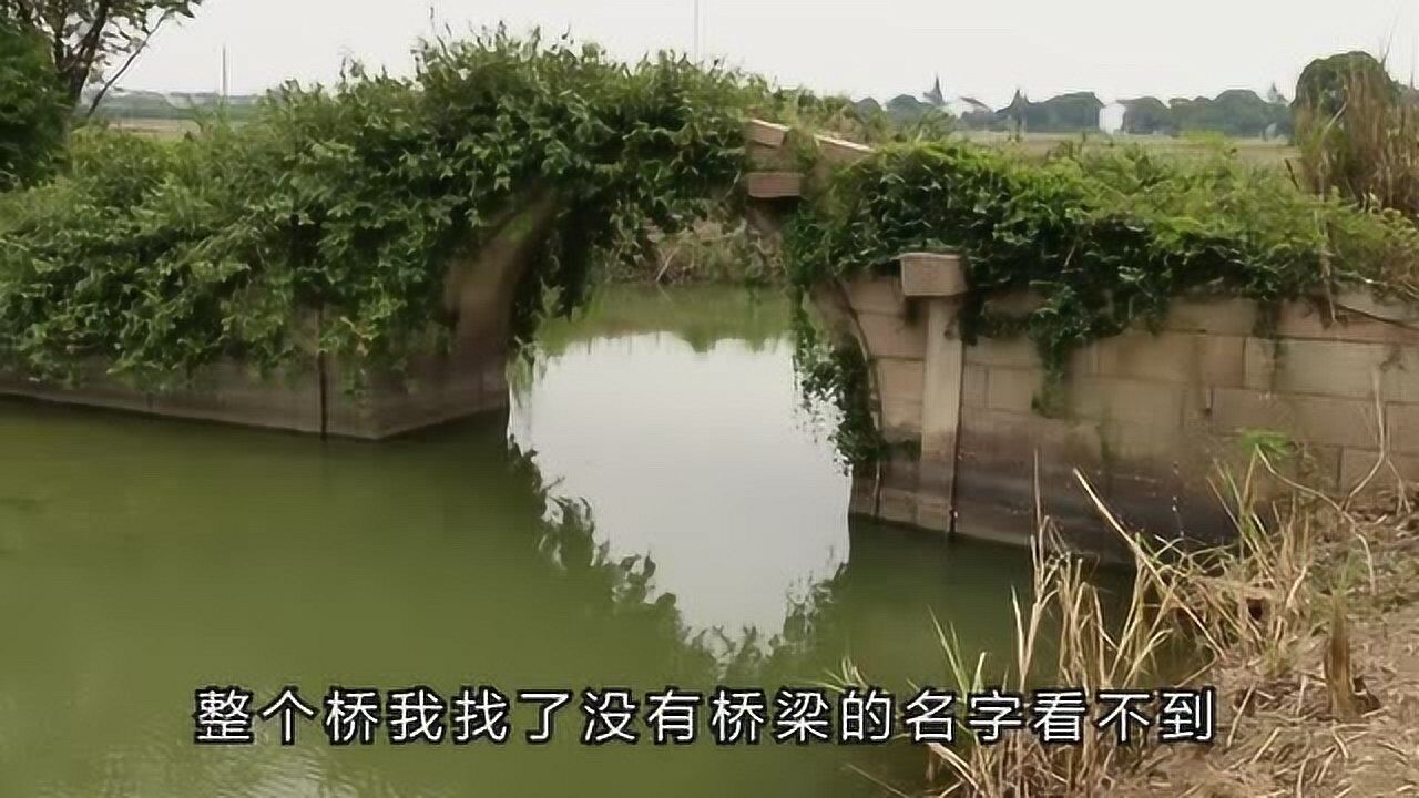 此古桥可称为野桥身处野外四周杂草比人高桥身也长满野草