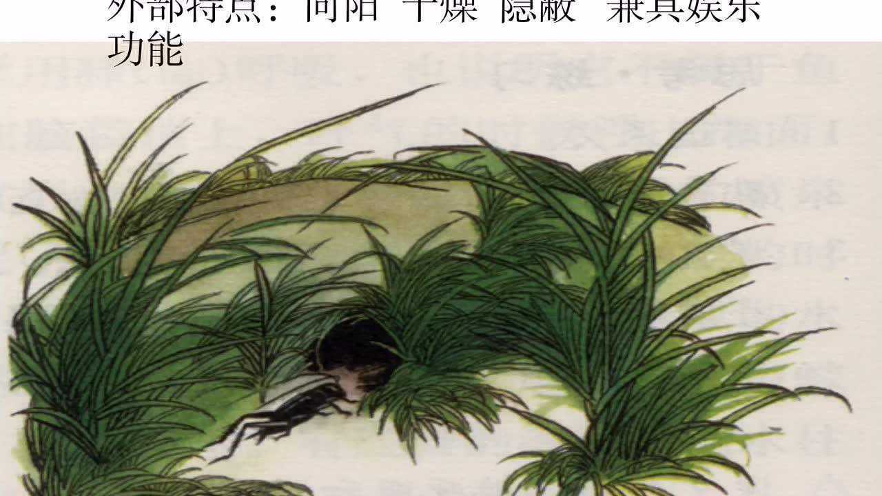 《蟋蟀的住宅》微课