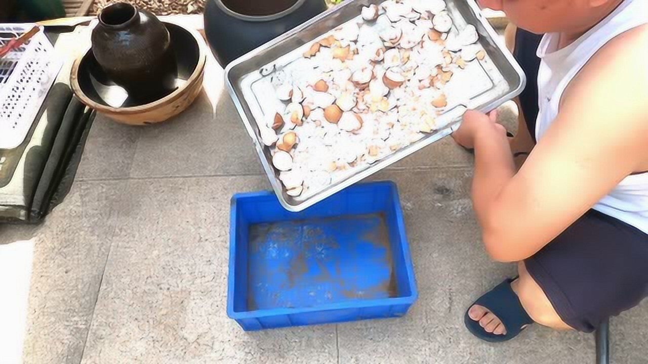 园艺爱好者家庭自制磷钾肥的妙招沤制有机肥代替磷酸二氢钾