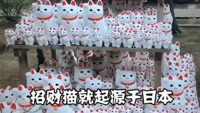 日本人为啥这么爱猫,原来其中还有这样的寓意!你们看完就明白了!