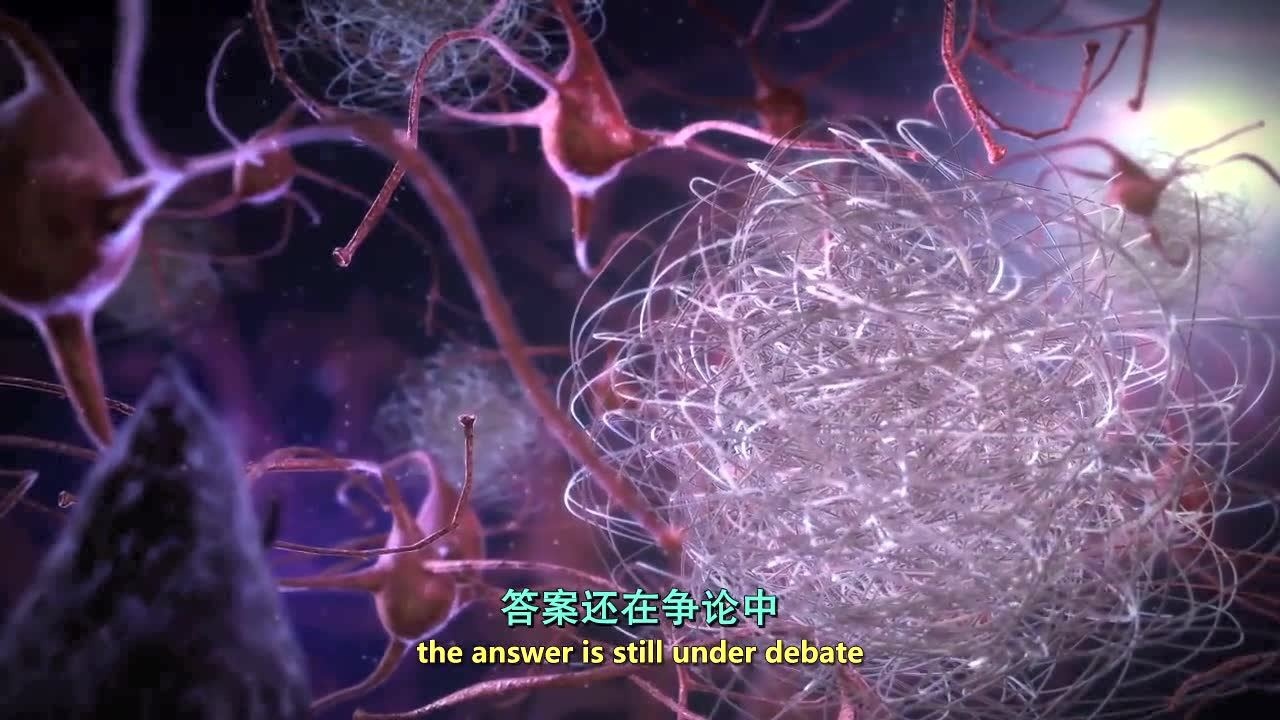 高清1080P在线观看平台_腾讯视频