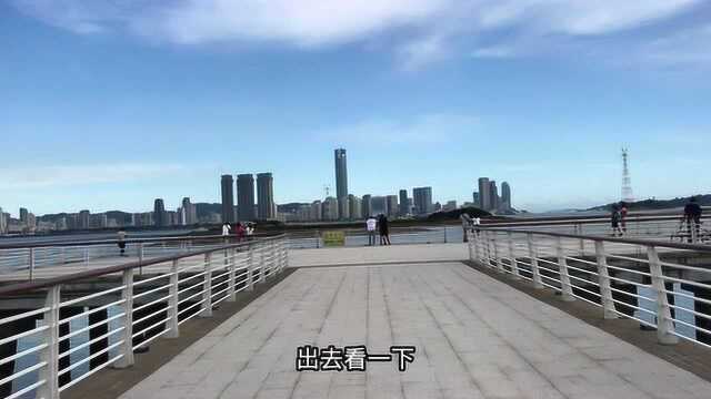 实拍福建厦门海沧湾公园,美丽的海滨公园,风景太美了