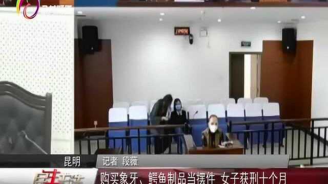 购买象牙、鳄鱼制品当摆件,女子获刑十个月