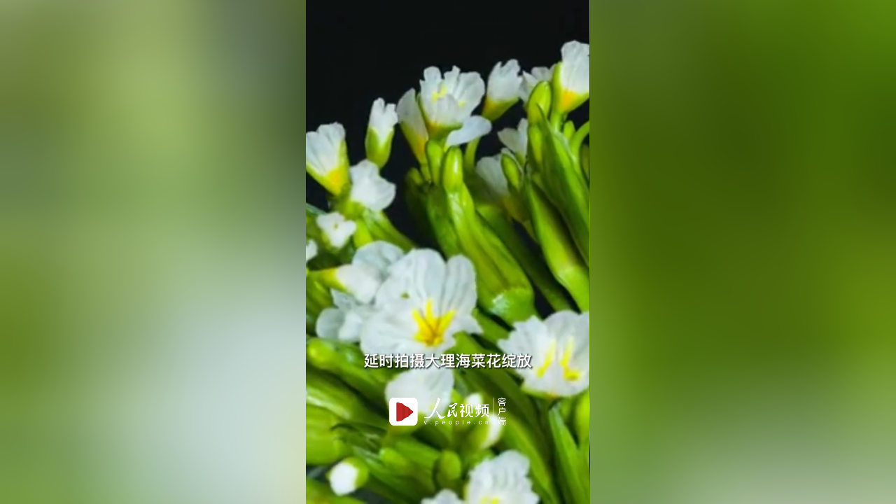 这一刻,冰清玉洁这个词具像化了