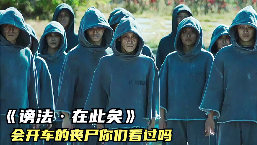 亡灵军团公路追杀,谤法少女斩妖除怪,一部满足你好奇心的片子