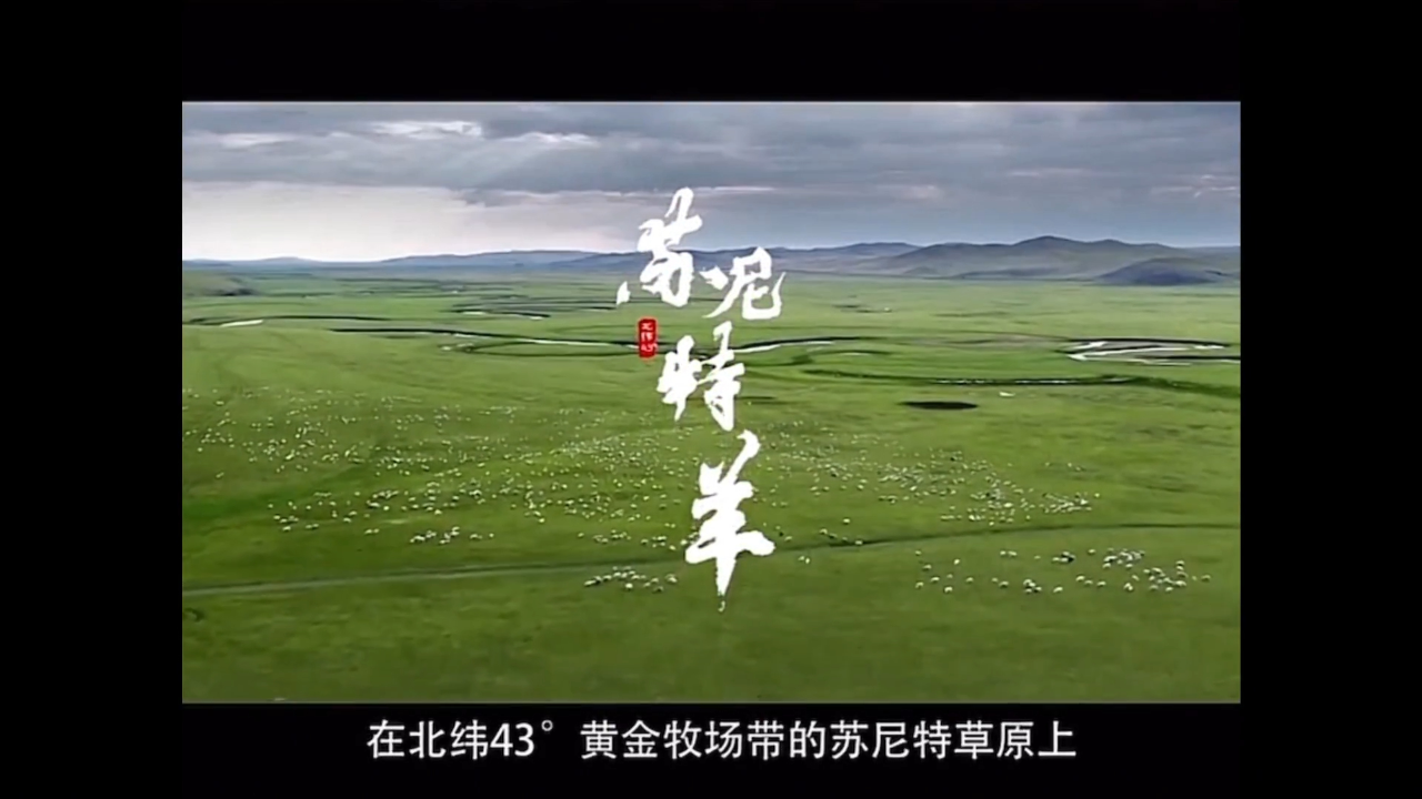 【"最美家乡味"美食短视频大赛8月铜奖作品】苏尼特熊猫羊