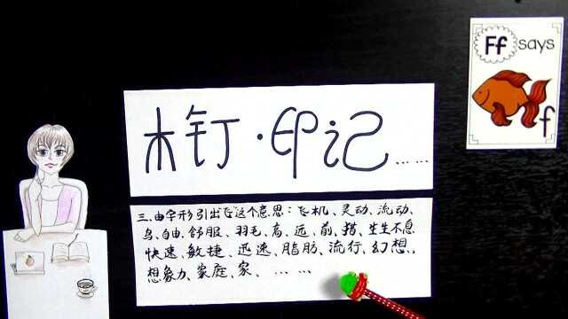 F字母的概念