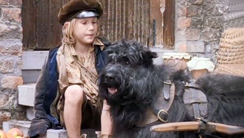 狗狗被男孩救了以后，开始它的报恩之路，爱狗人士不要错过的电影《义犬报恩》