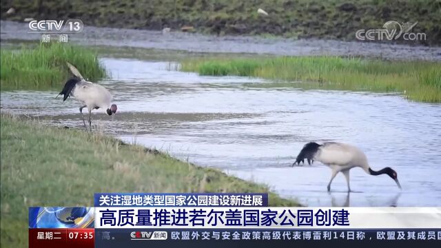 湿地类型国家公园建设新进展:高质量推进若尔盖国家公园创建