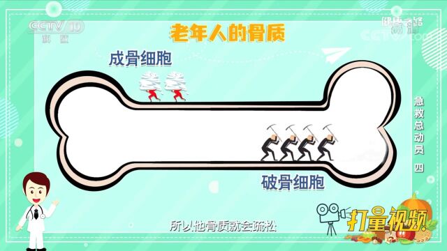 老年人成骨细胞少于破骨细胞,易发生骨质疏松导致骨折