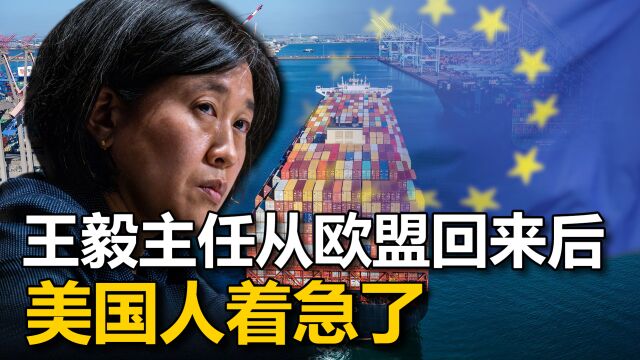 中国经济违反市场化原则?王毅主任从欧盟回来后,美国人着急了