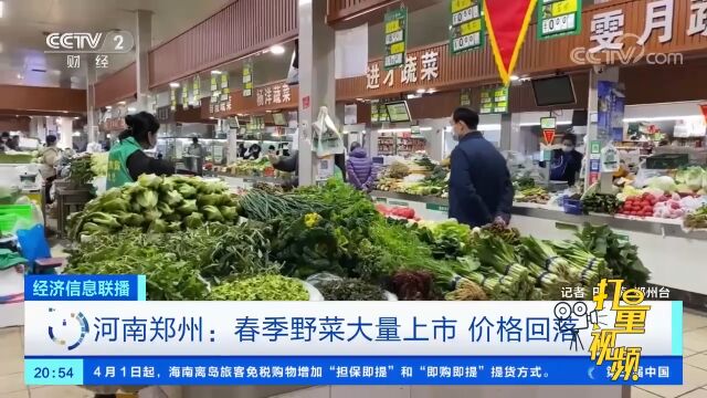 河南郑州:春季野菜大量上市,价格回落