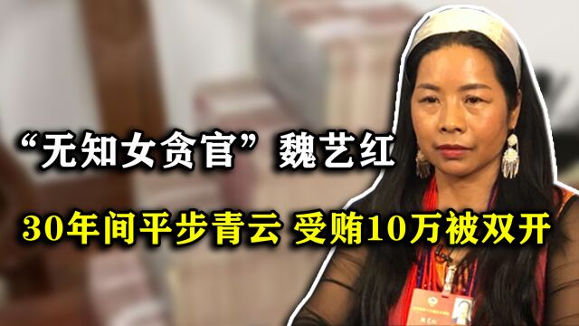 “云南贪官”魏艺红,30年间平步青云,只因受贿10万元被双开