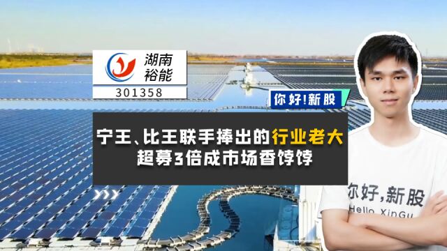 湖南裕能:宁王、比王联手捧出的行业老大,超募3倍成市场香饽饽