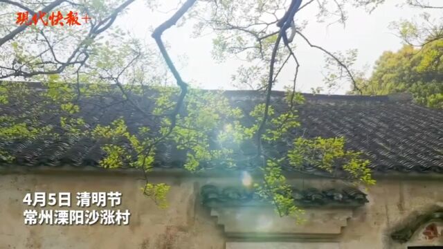 全球偰姓发源于江苏这个村庄,族人年年回村祭祖