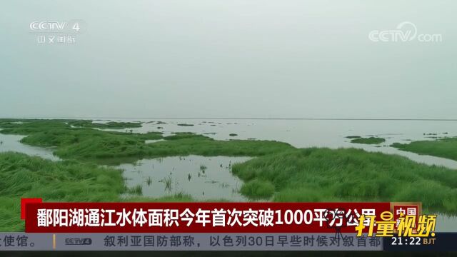 受降雨影响,鄱阳湖通江水体面积今年首次突破1000平方公里