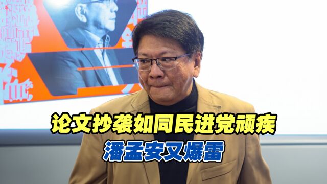 论文抄袭如同民进党顽疾!赖清德竞选总干事潘孟安又爆雷