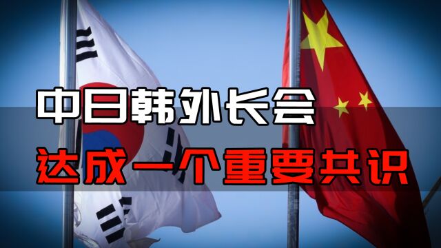 中日韩外长会达成一个重要共识?将尽快促进中日韩三国领导人峰会