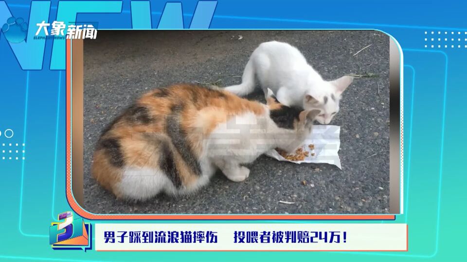 上海闵行法院发布情况通报羽毛球馆踩猫案件将提起再审