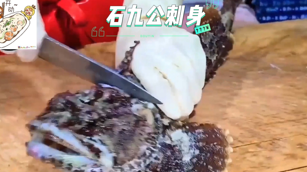 深受岭南沿海渔民喜爱的石九公不仅仅只能用来熬鱼汤，做成刺身也是不错的选择_腾讯新闻