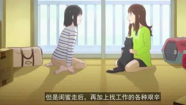 新海诚感人电影《她和她的猫》,猫奴必须得看,我看了不下十遍