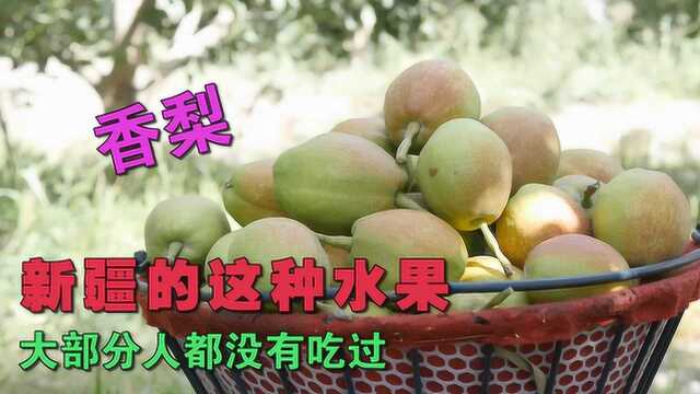 新疆的这种水果大部分的人都没有吃过 被誉为 梨中珍品果中王子