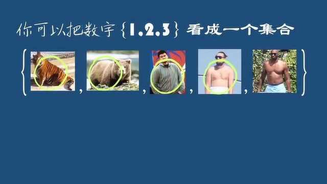 【秒懂数学】高中数学集合论,姚明和莱昂纳多能否分在一类?